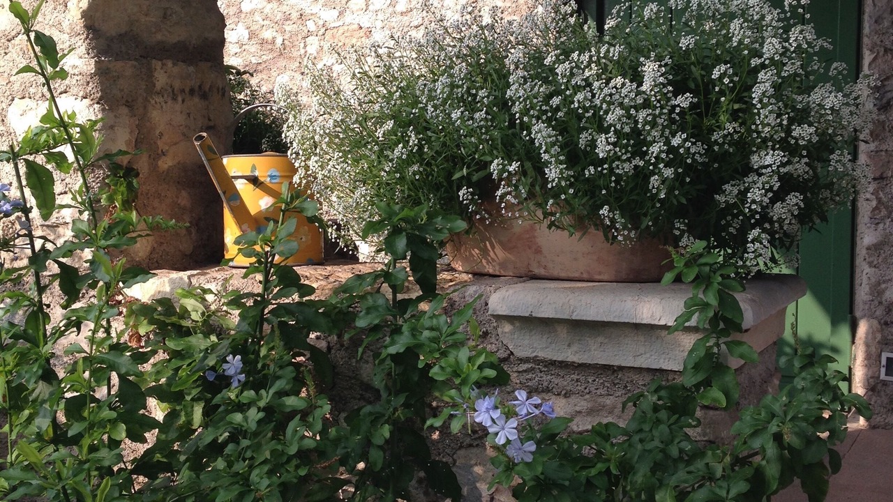 Photo of Outdoor in Toscolano Maderno