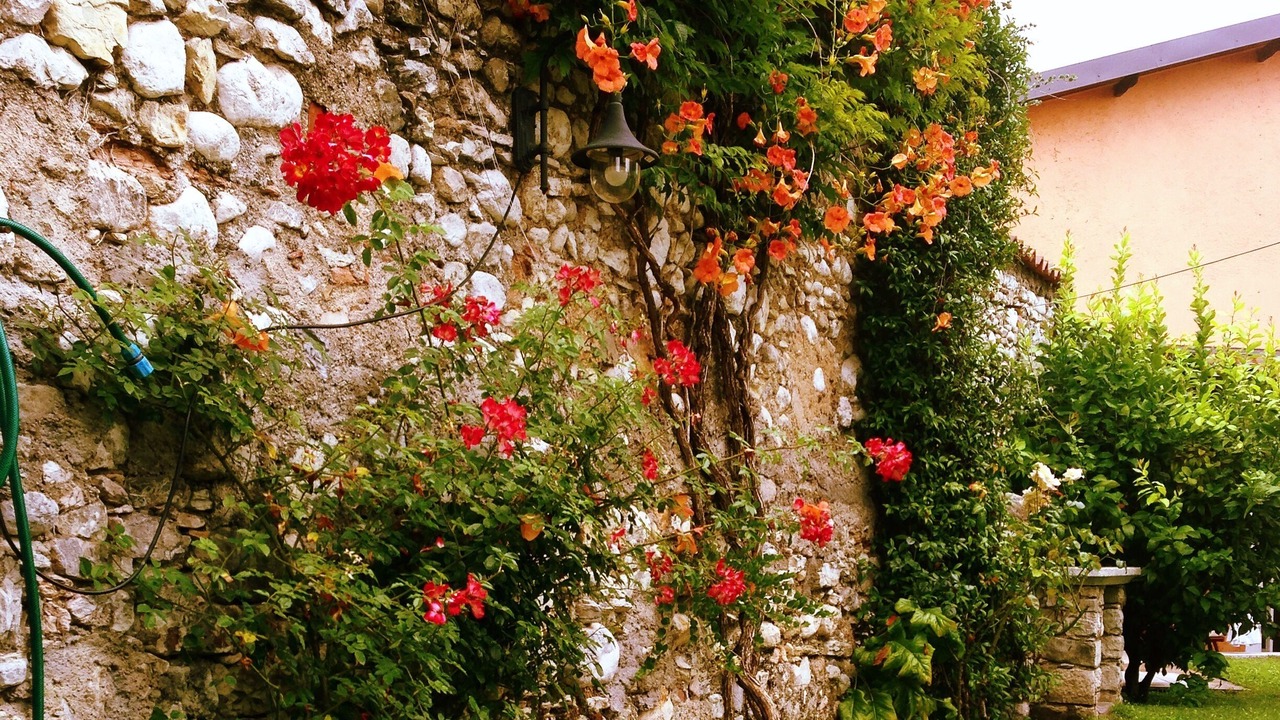 Photo of Outdoor in Toscolano Maderno