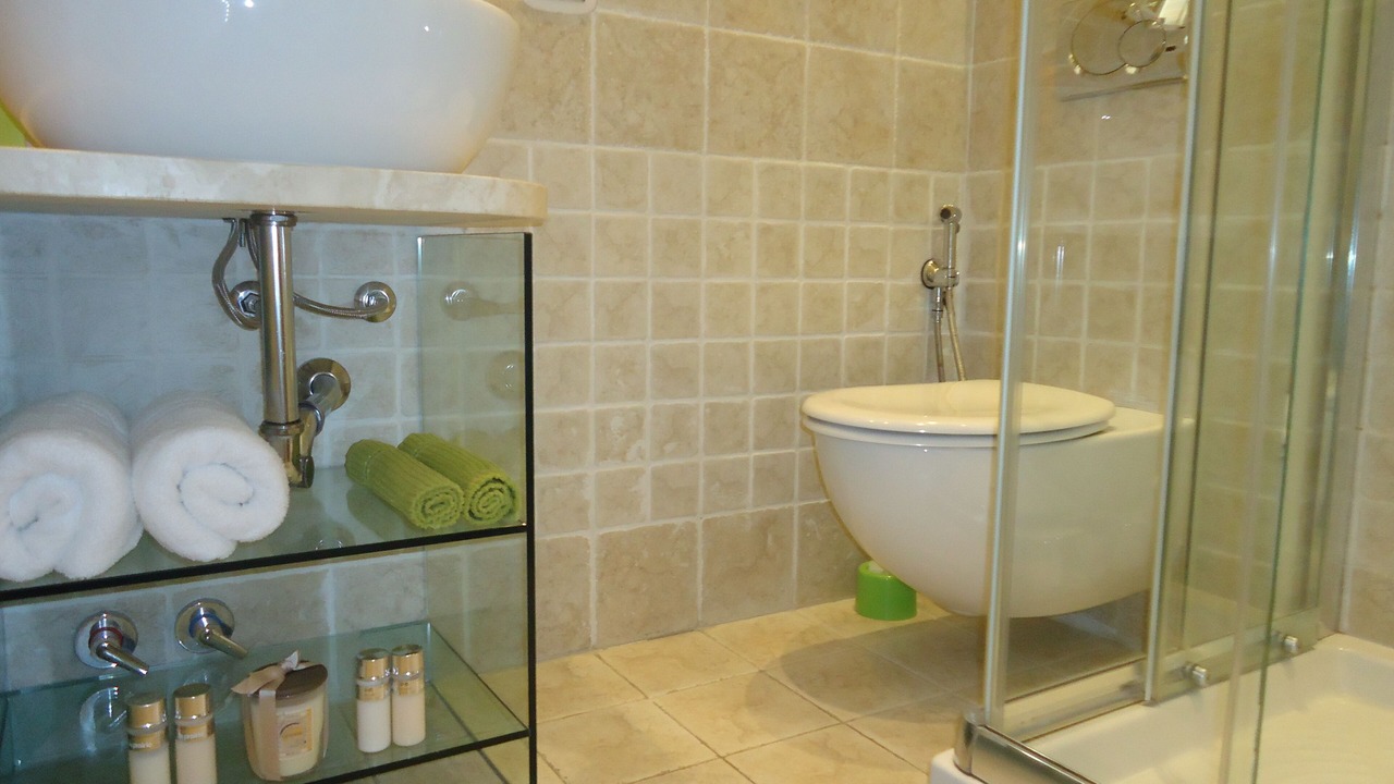 Photo of Bathroom in Tricolore