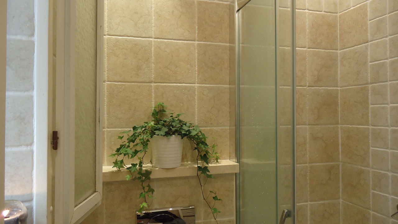 Photo of Bathroom in Tricolore