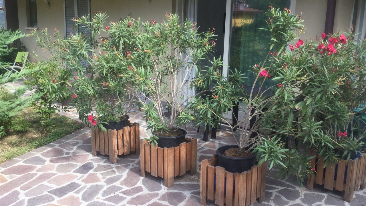 Photo of Outdoor in Entratico