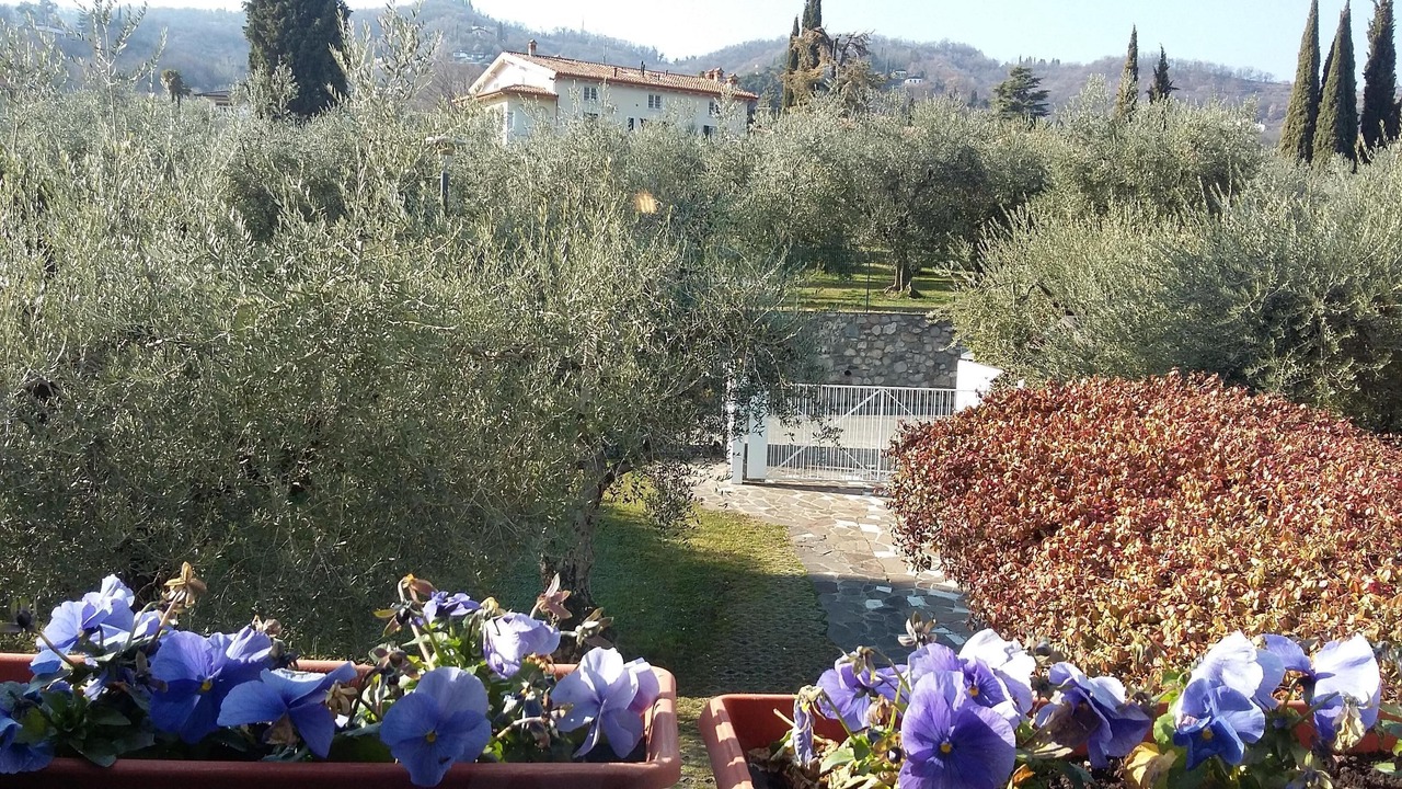 Photo of Others in Salo