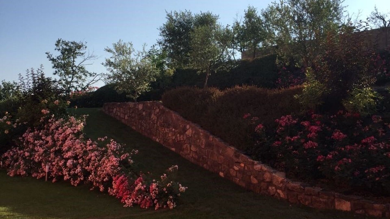 Photo of Others in Lonato del Garda