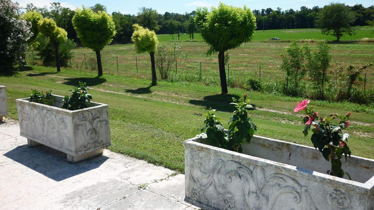 Photo of Outdoor in Desenzano del Garda