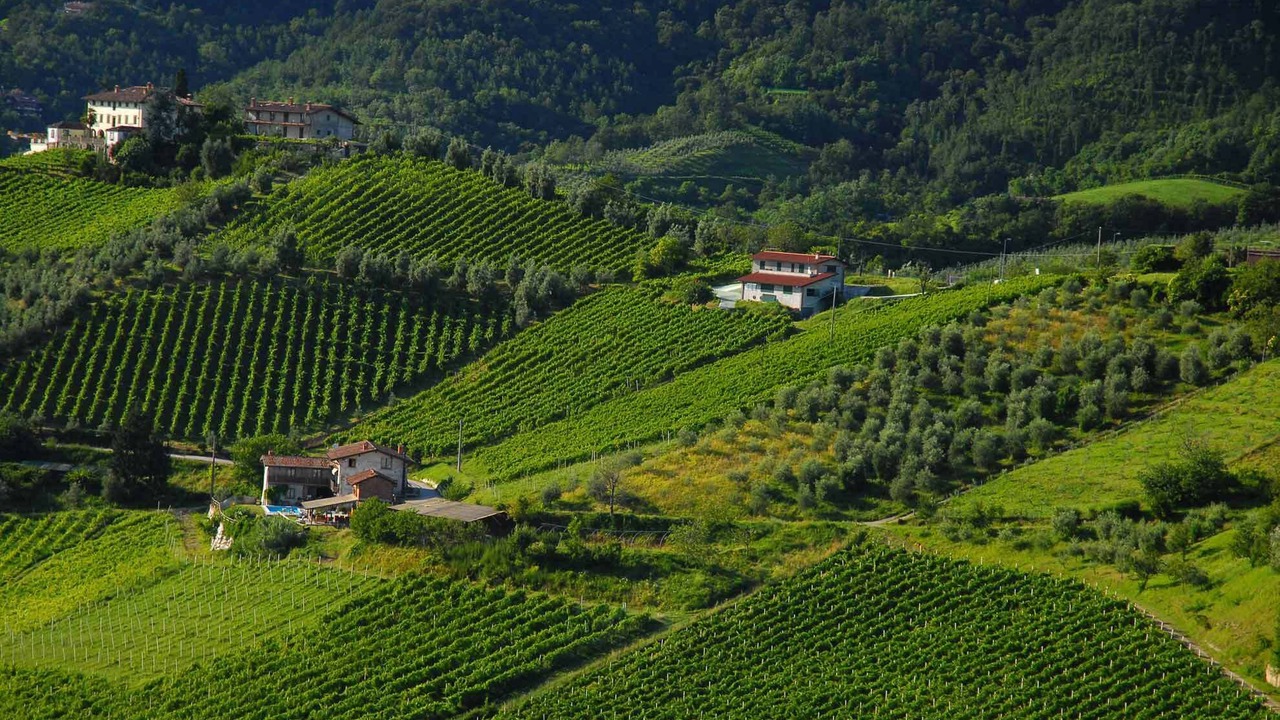 Photo of Outdoor in Entratico