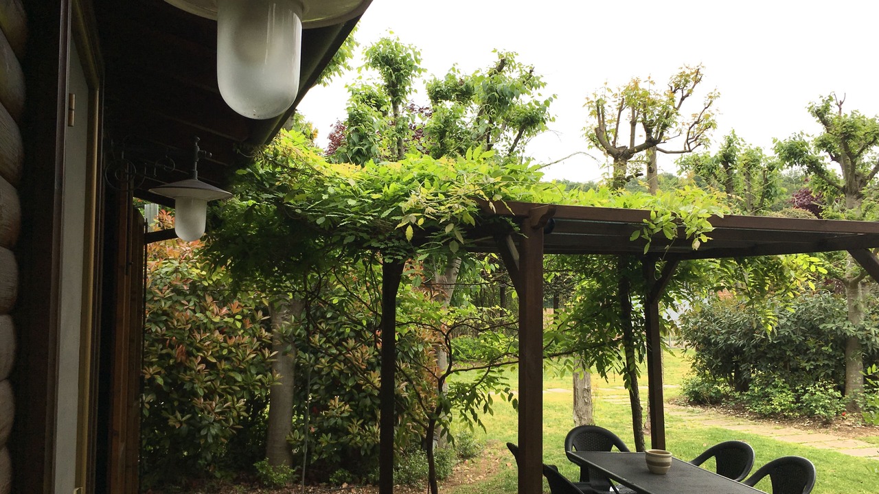 Photo of Outdoor in Desenzano del Garda