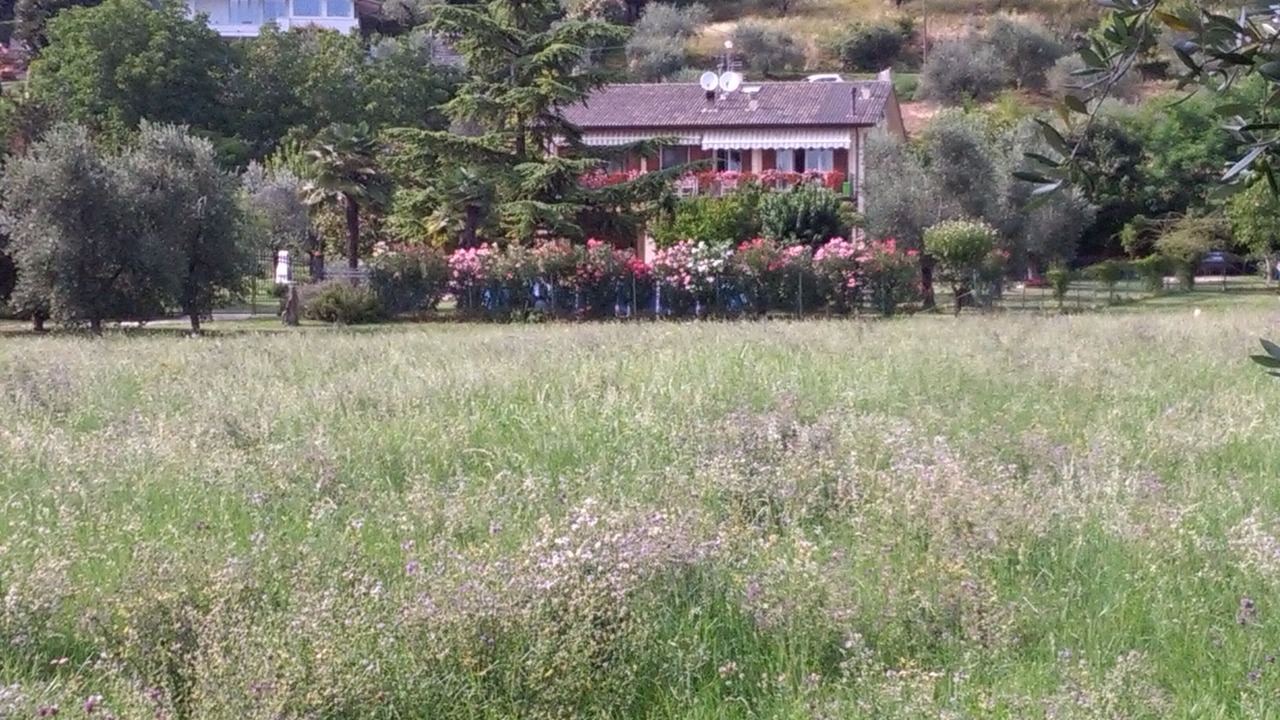 Photo of Outdoor in Roe Volciano