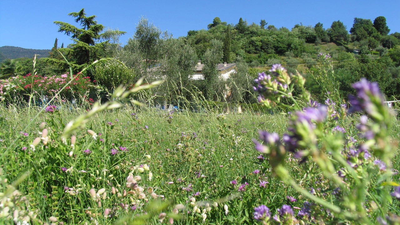 Photo of Outdoor in Roe Volciano