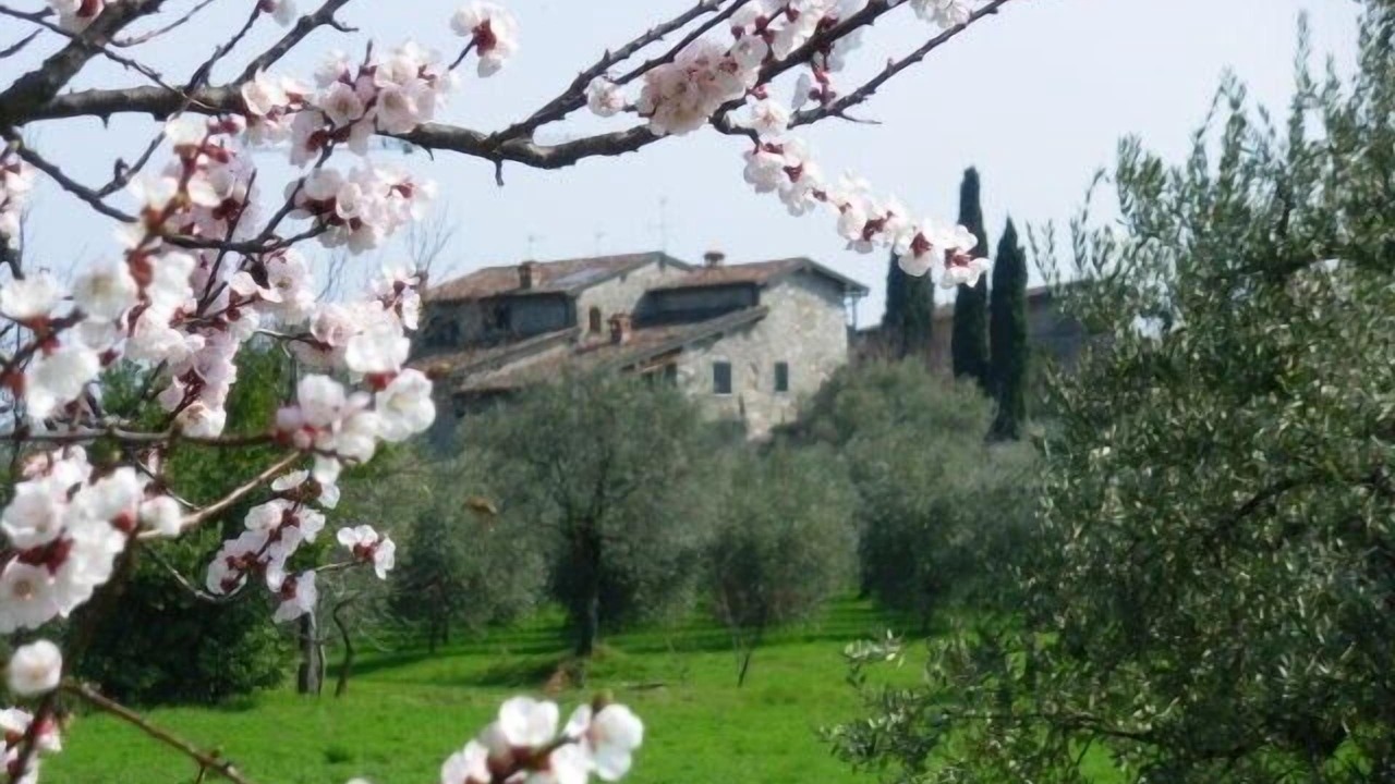 Photo of Outdoor in Roe Volciano