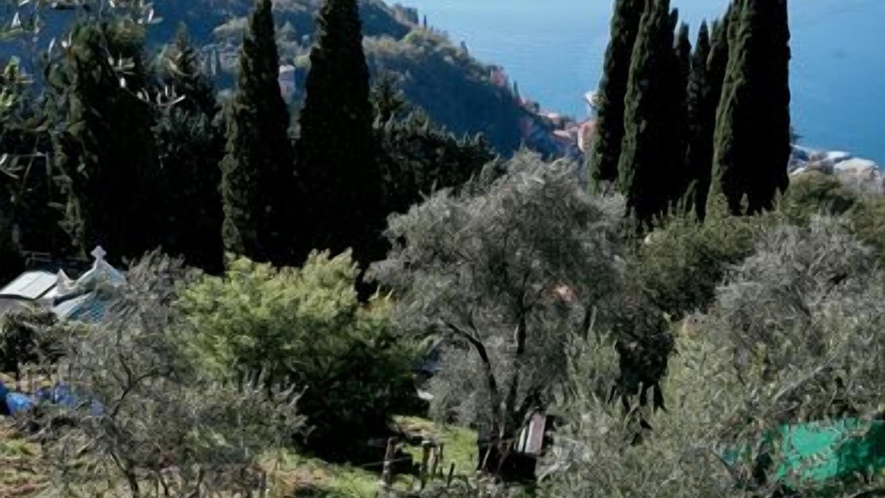 Photo of Outdoor in Varenna