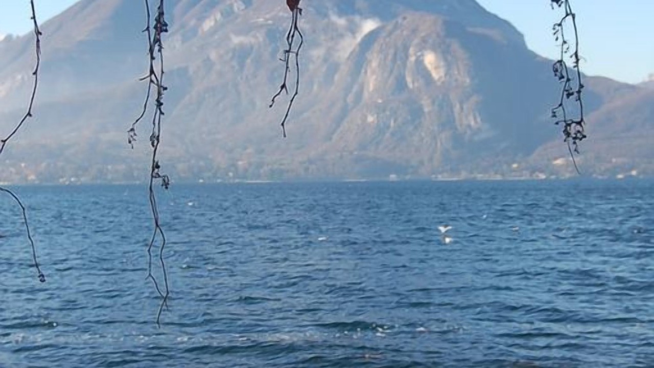 Photo of Others in Varenna