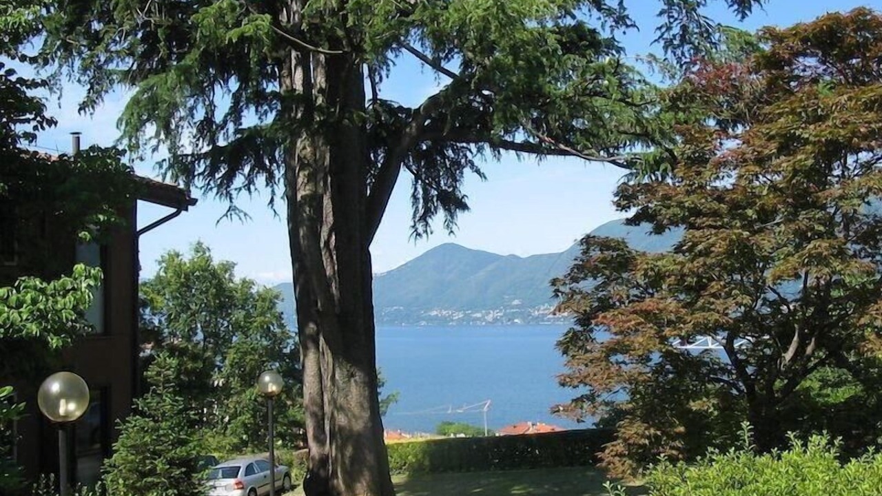 Photo of Others in Luino