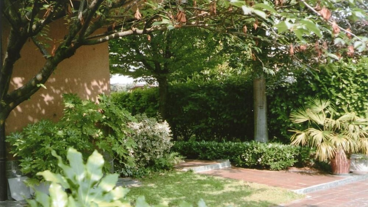 Photo of Outdoor in Arese