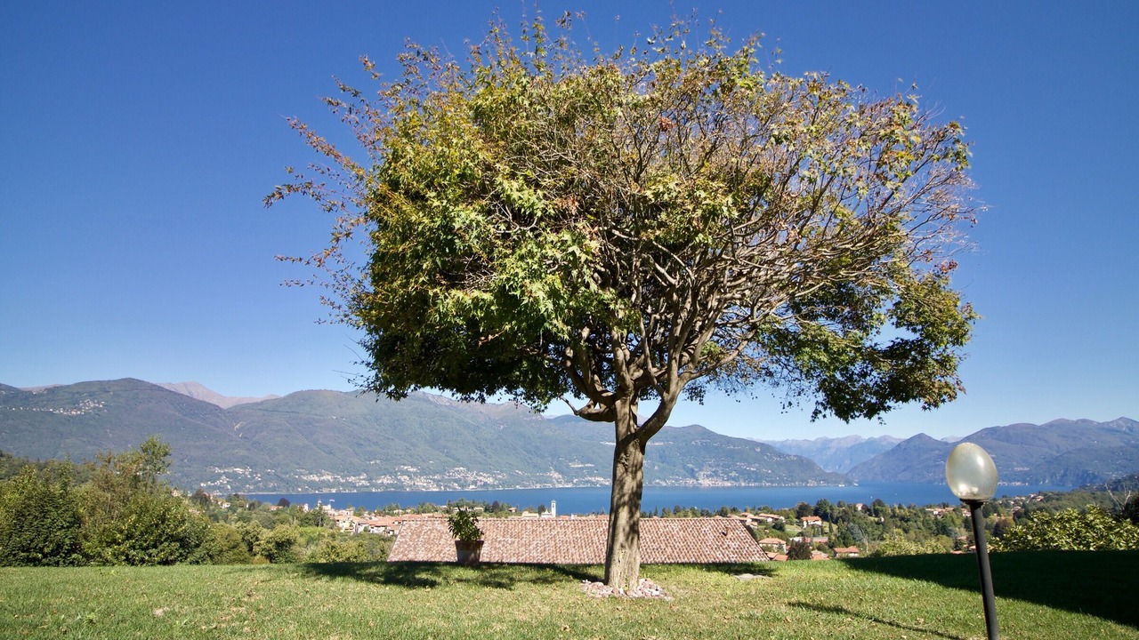 Photo of Outdoor in Castelveccana
