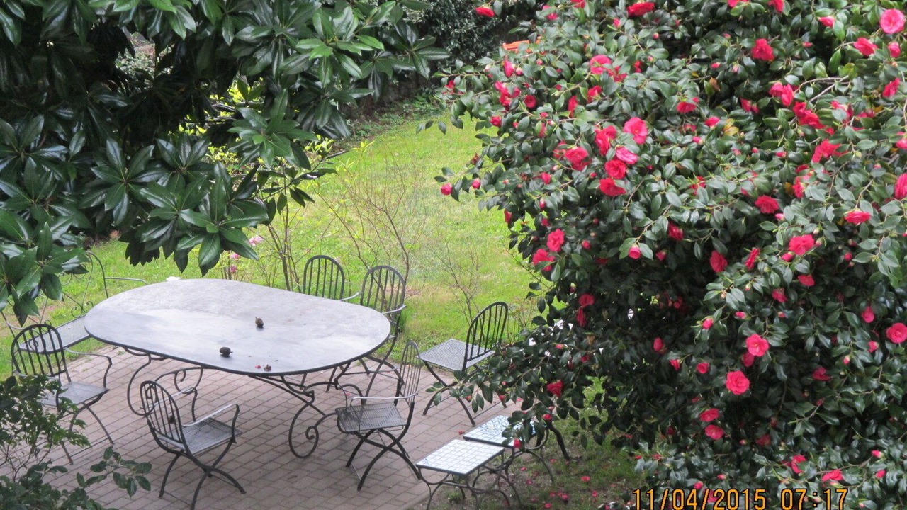 Photo of Outdoor in Maccagno