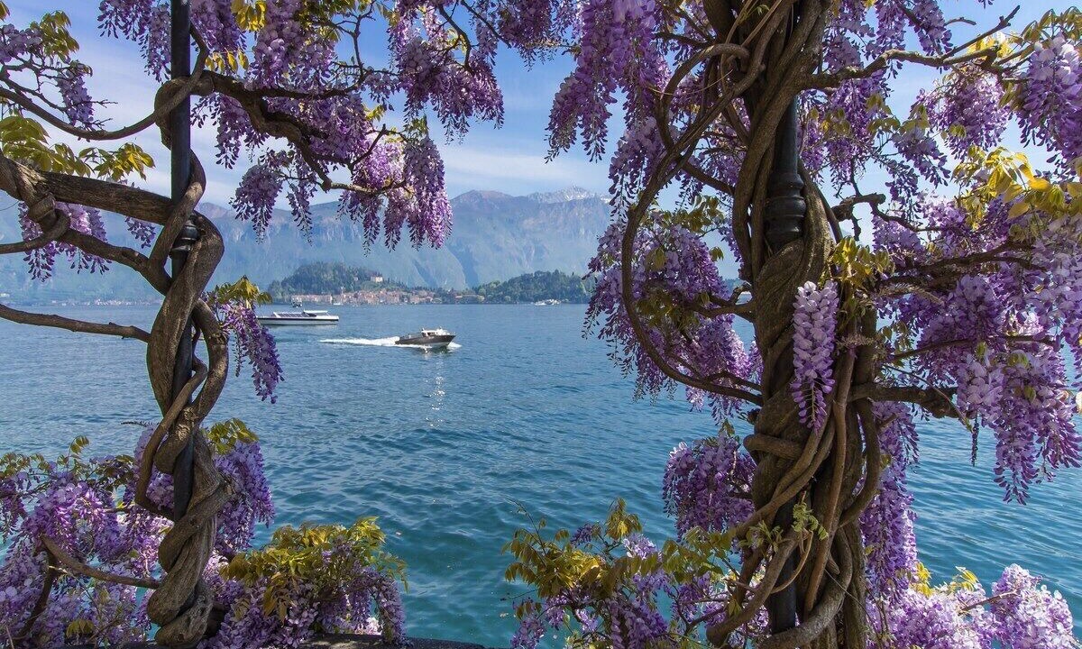 Photo of Bedroom in Varenna