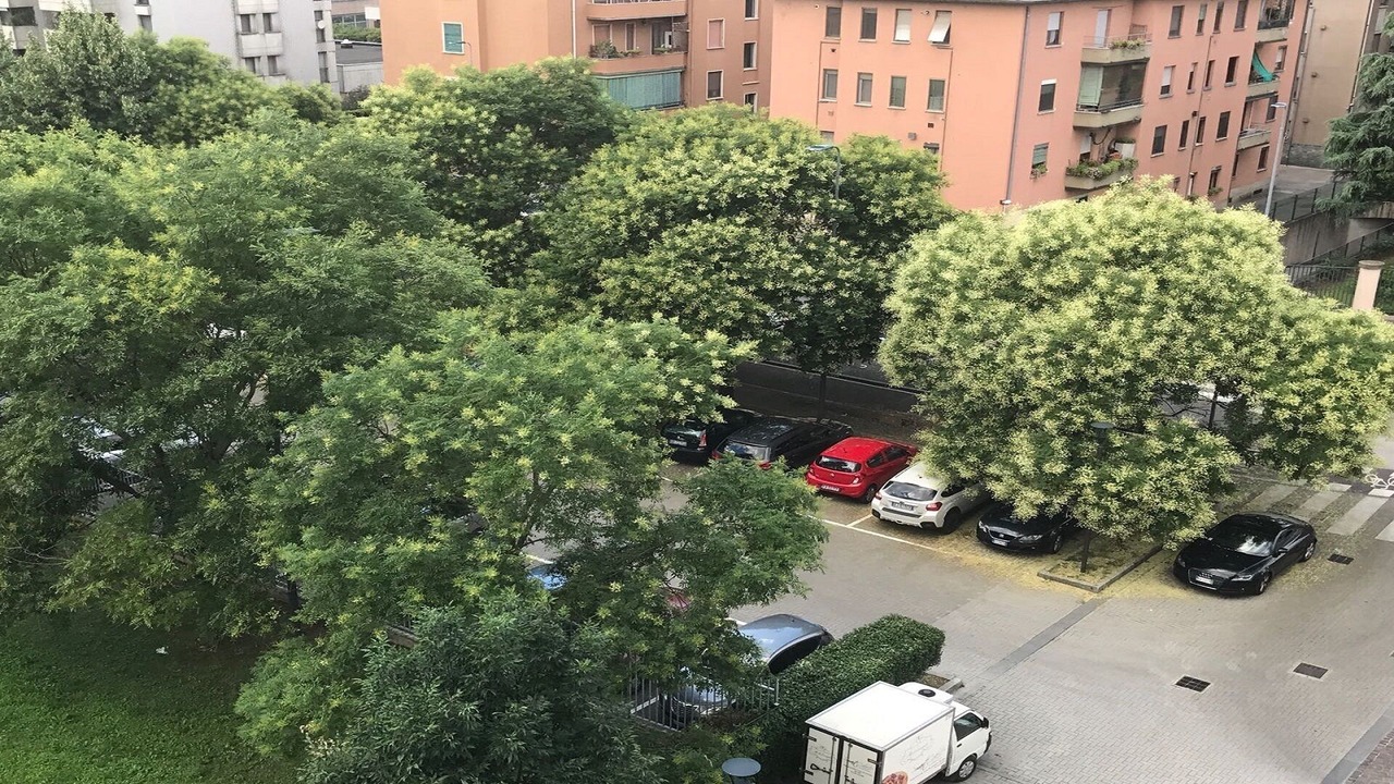 Photo of Outdoor in Vigentino