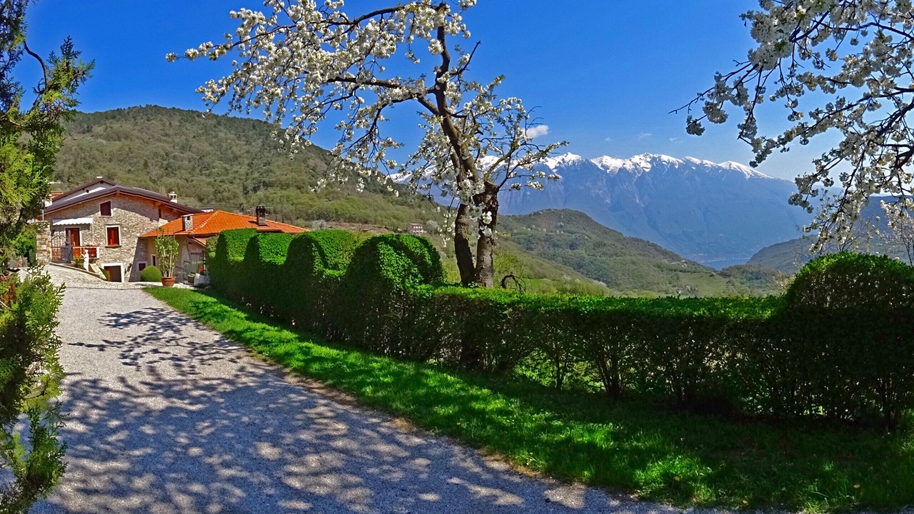 Photo of Outdoor in Sermerio