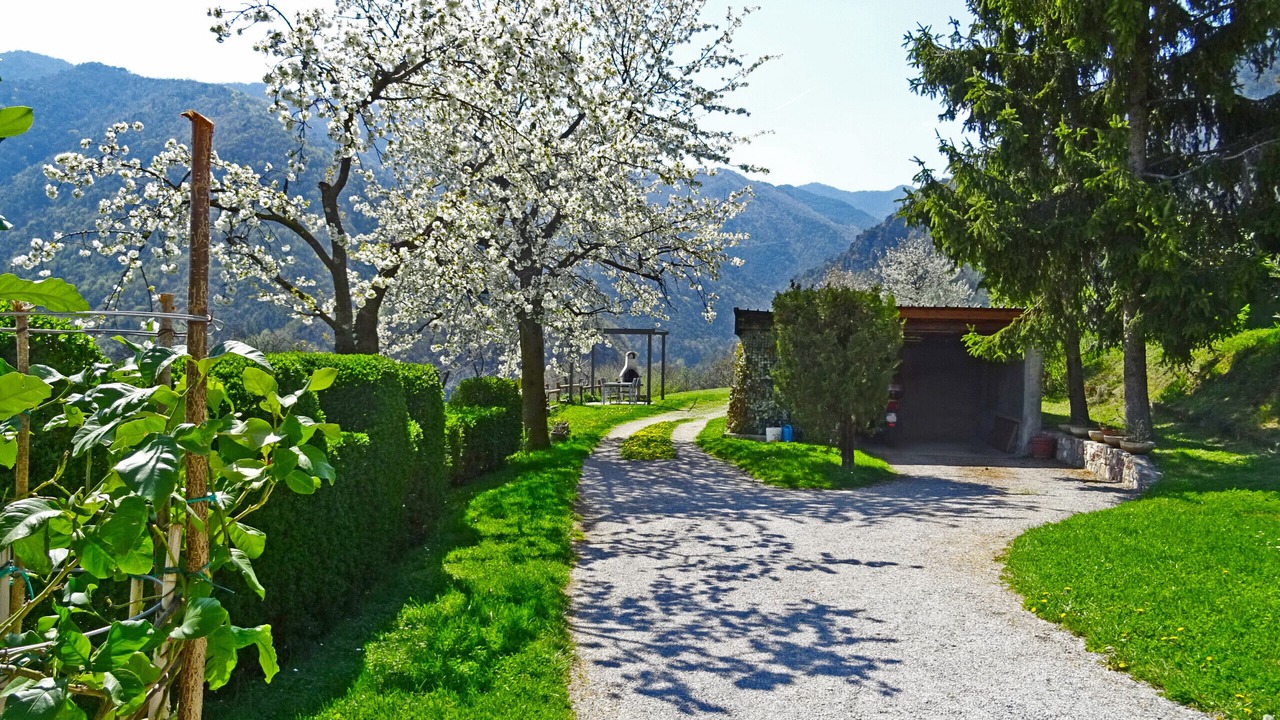 Photo of Outdoor in Sermerio