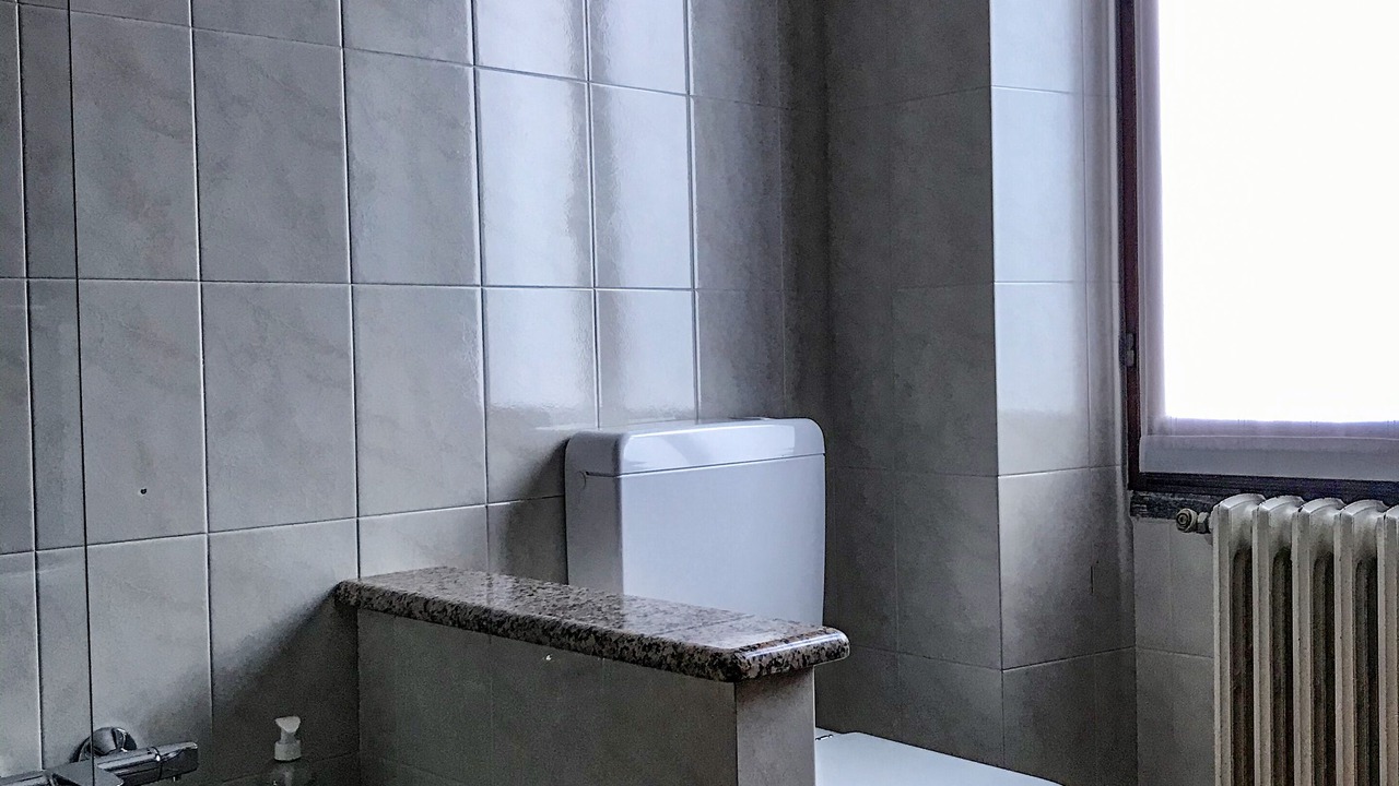 Photo of Bathroom in Piantedo