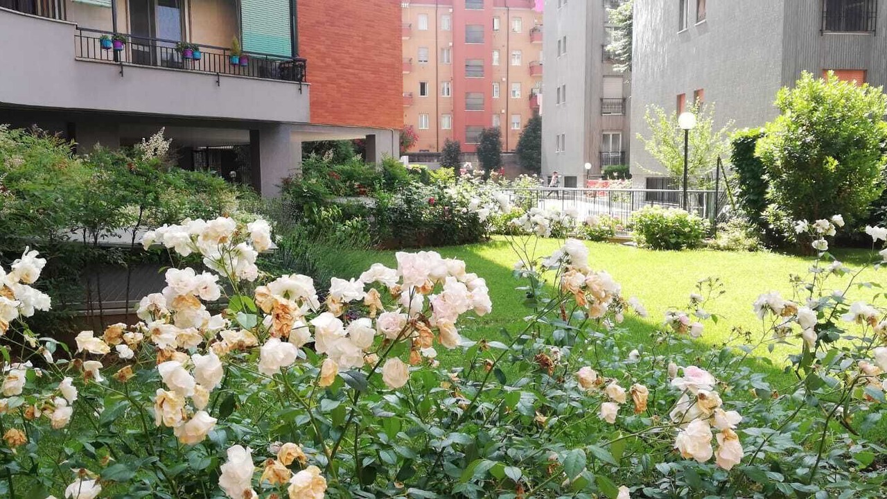 Photo of Outdoor in Rondinella - Baraggia - Restellone