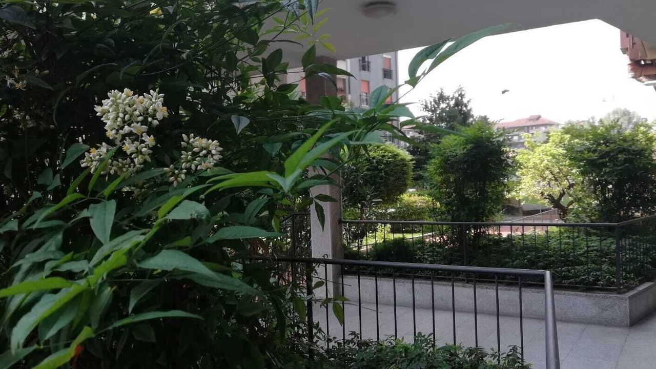 Photo of Outdoor in Rondinella - Baraggia - Restellone