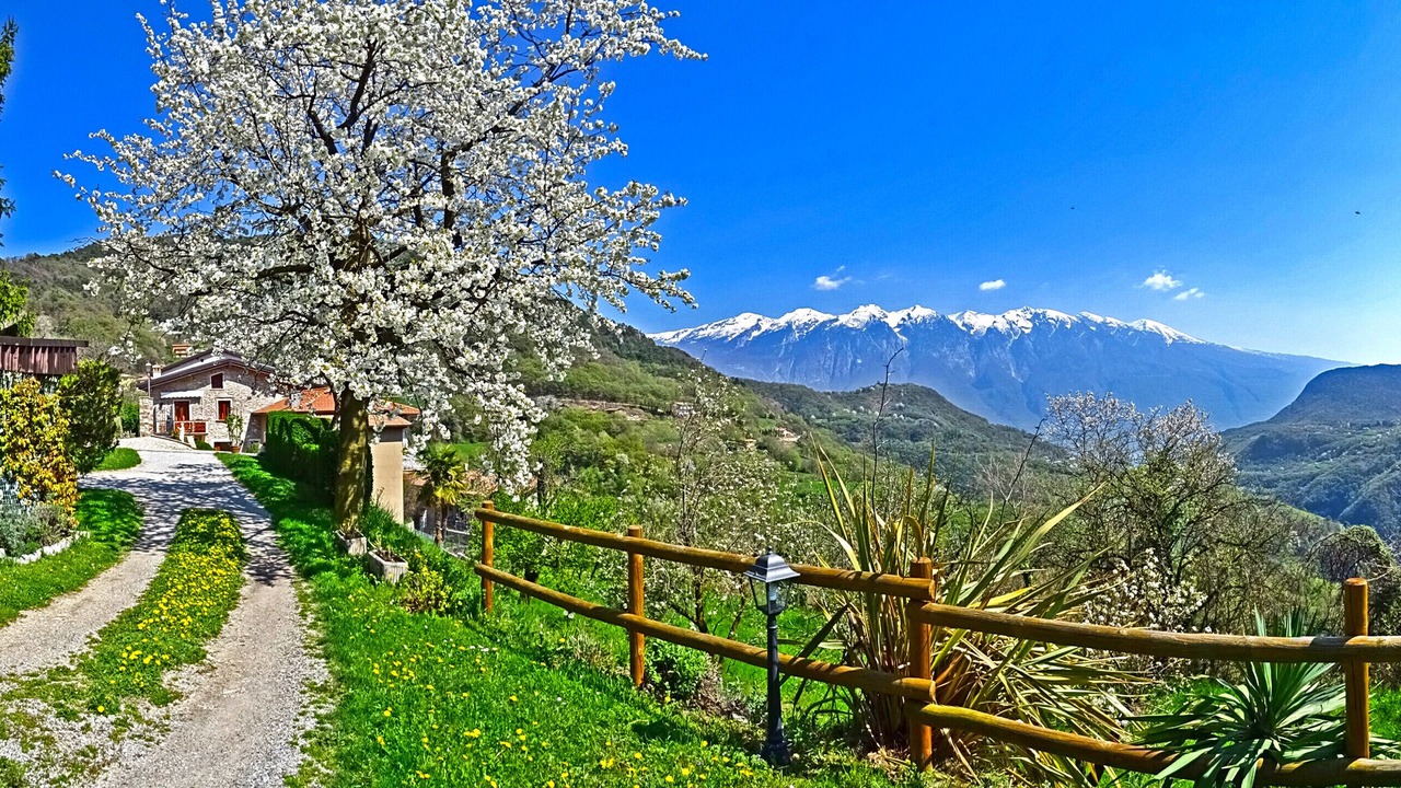 Photo of Outdoor in Sermerio