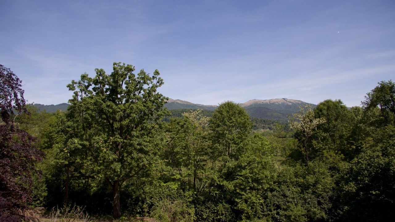 Photo of Outdoor in Montorfano