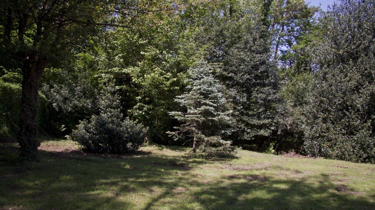 Photo of Outdoor in Montorfano