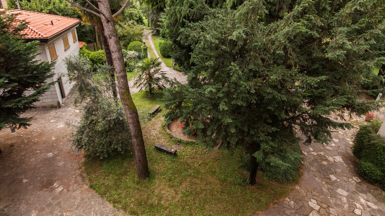 Photo of Outdoor in Zandobbio