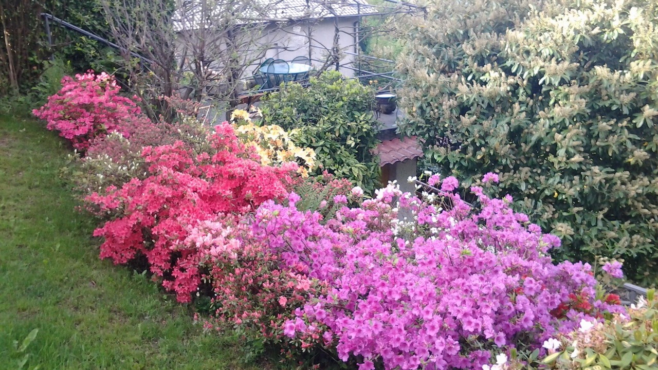Photo of Outdoor in Brunate