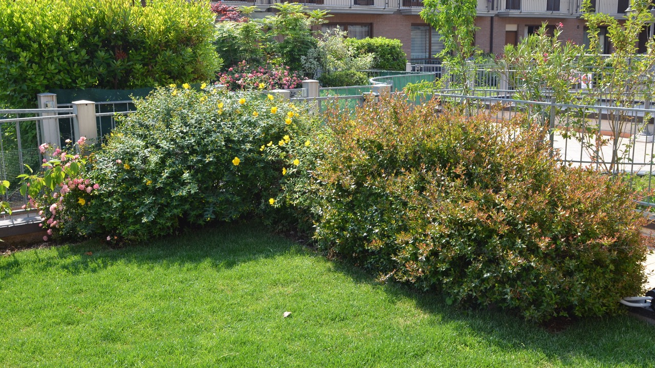 Photo of Outdoor in Roe Volciano