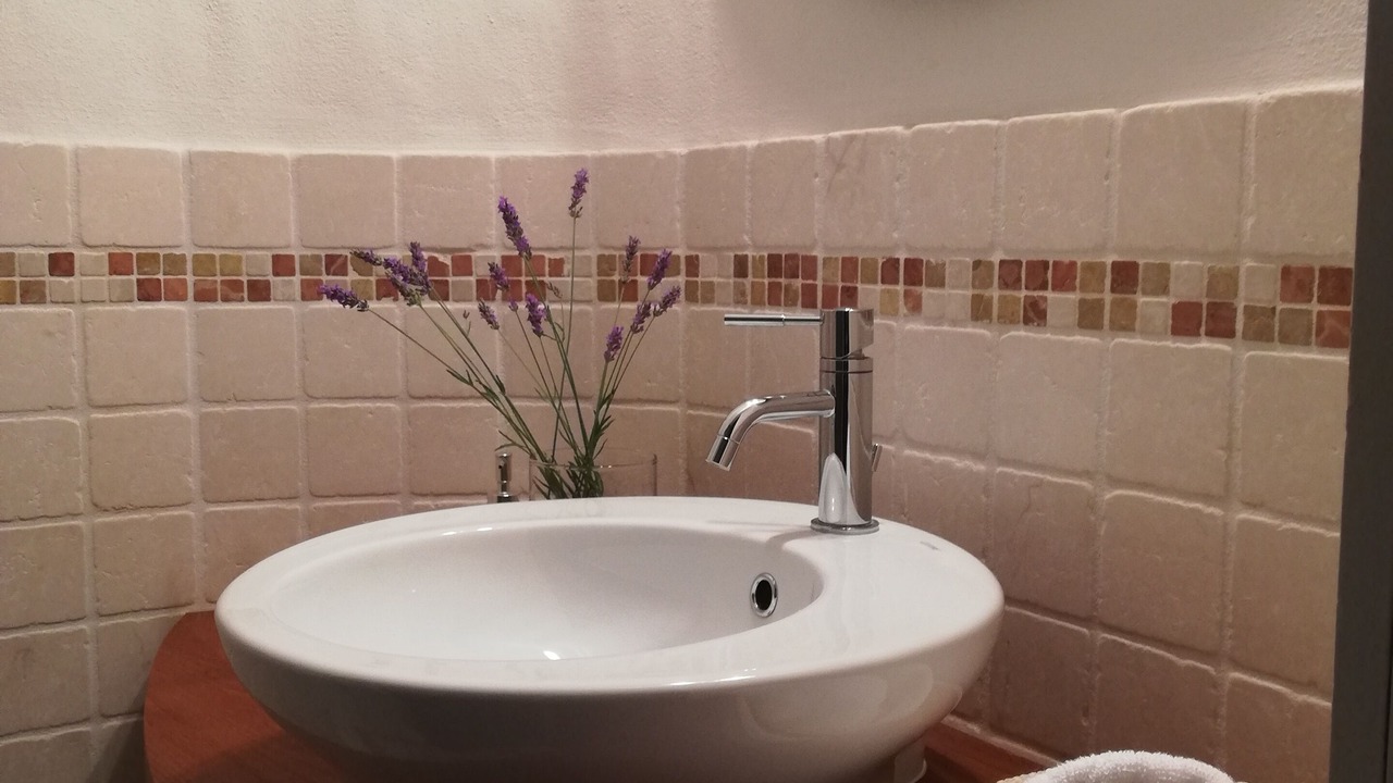 Photo of Bathroom in Argegno
