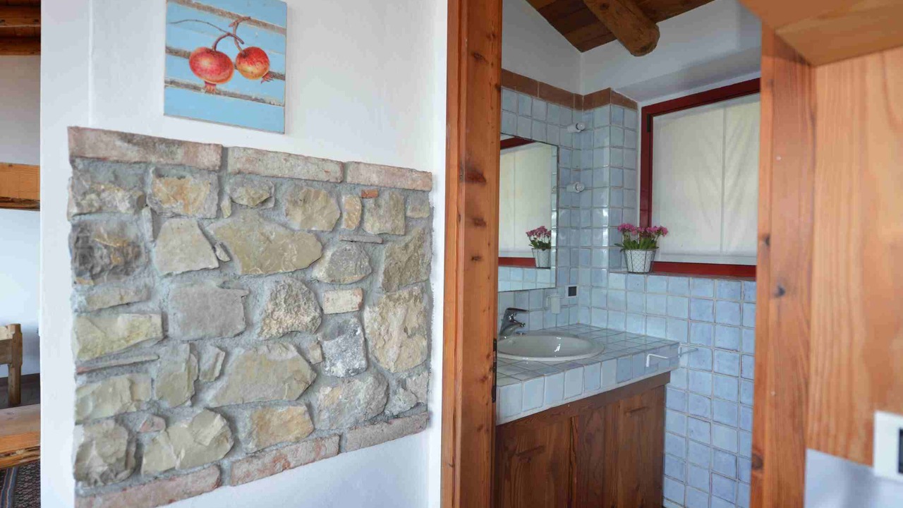 Photo of Bathroom in Sale Marasino