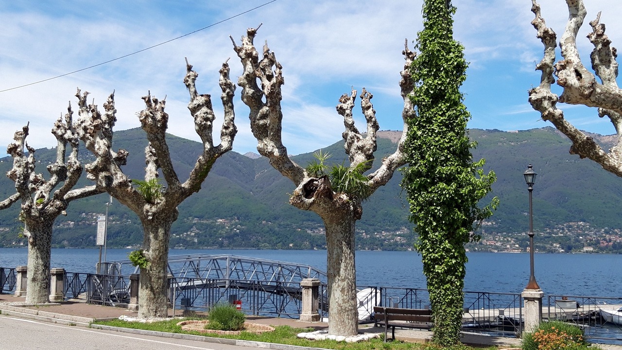 Photo of Outdoor in Porto Valtravaglia