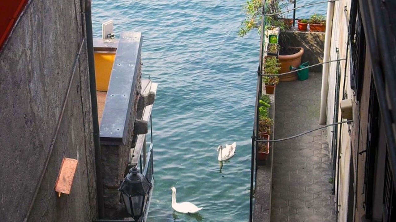 Photo of Others in Varenna