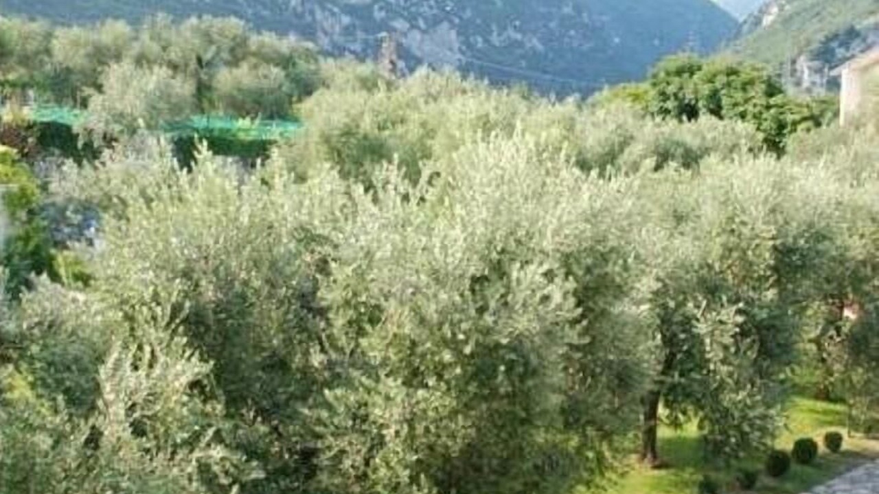 Photo of Outdoor in Gaino