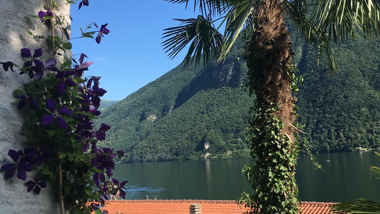 Photo of Outdoor in Albogasio