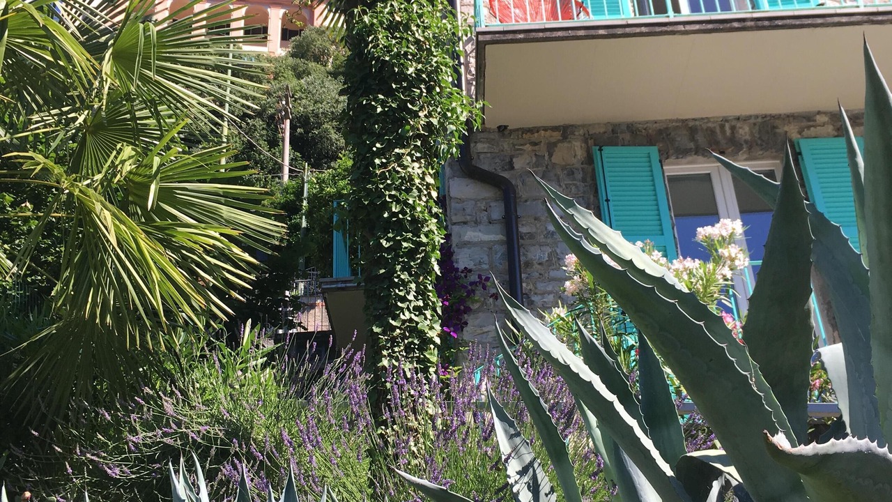Photo of Outdoor in Albogasio