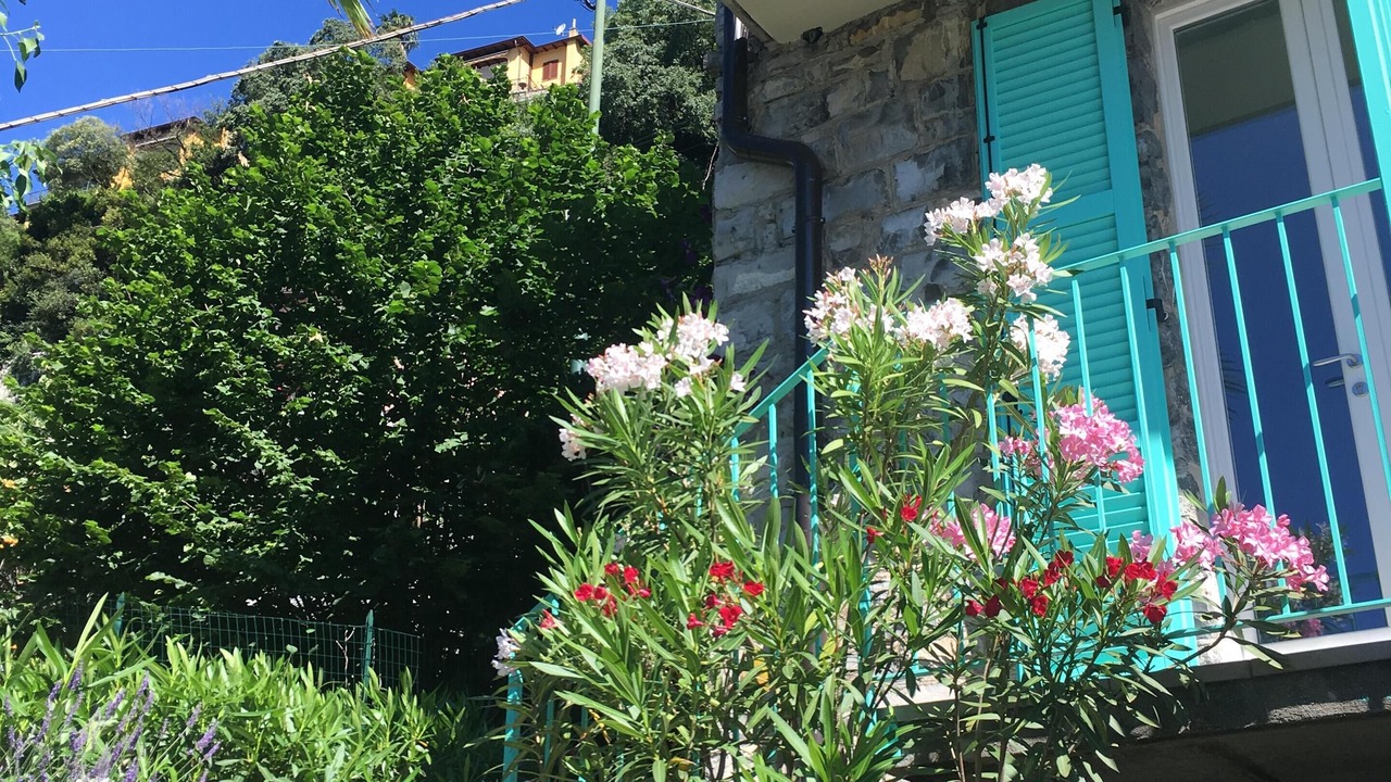 Photo of Outdoor in Albogasio