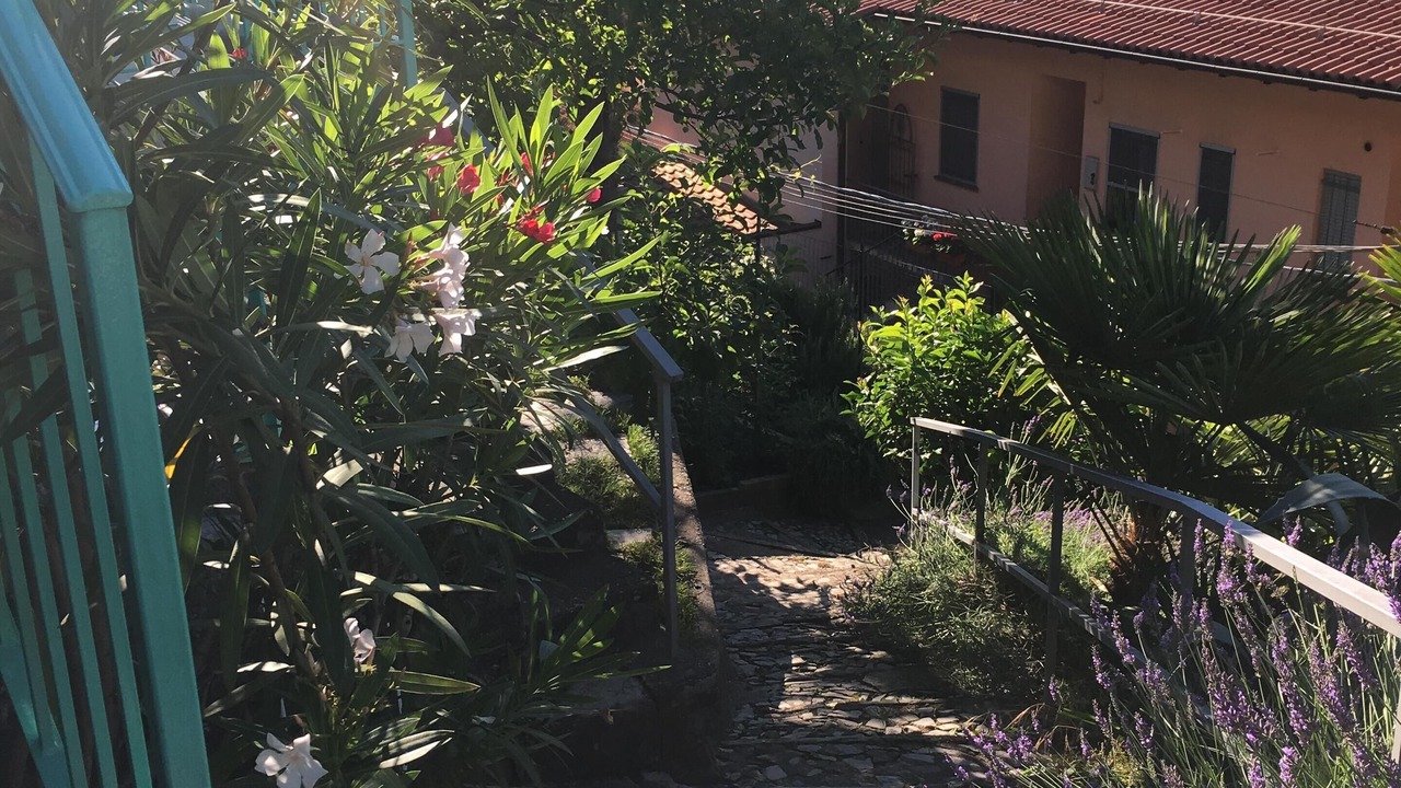 Photo of Outdoor in Albogasio