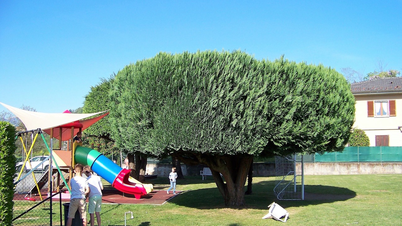 Photo of Others in Villaggio Belmonte