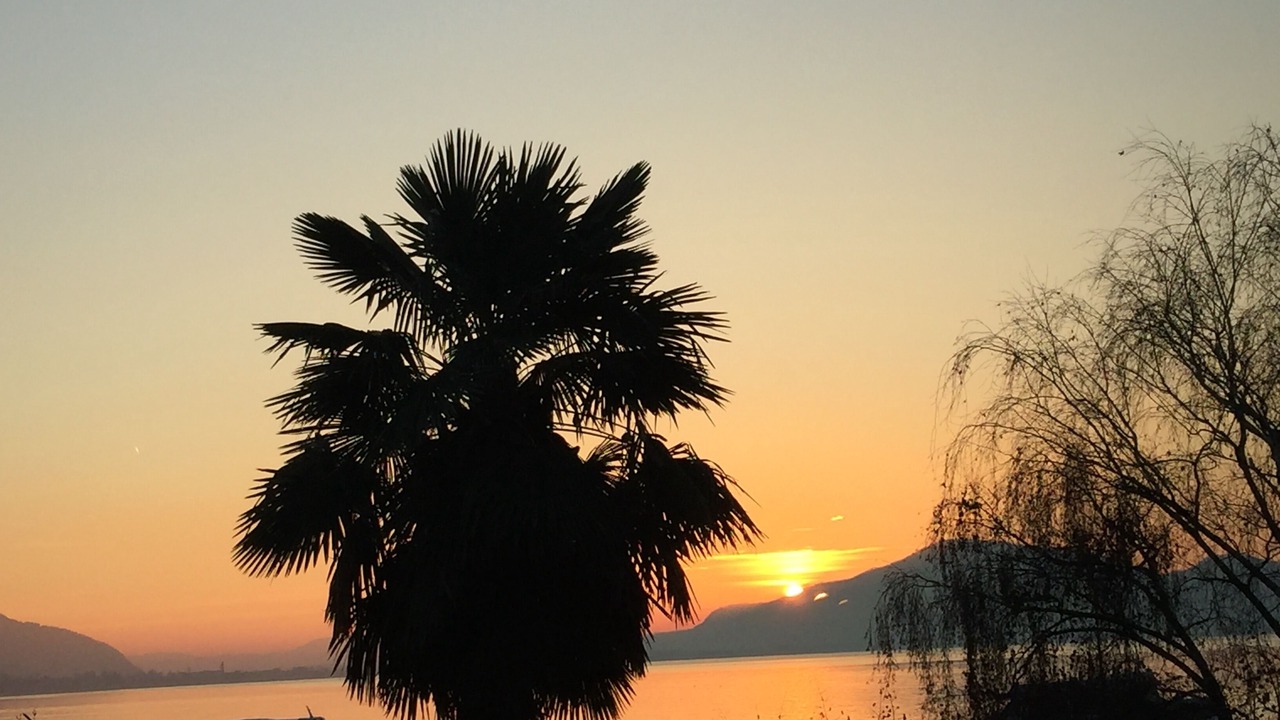 Photo of Others in Peschiera Maraglio