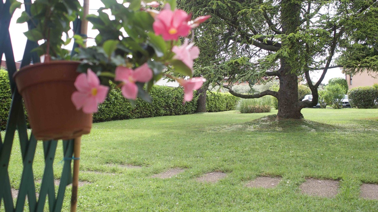 Photo of Outdoor in Portese