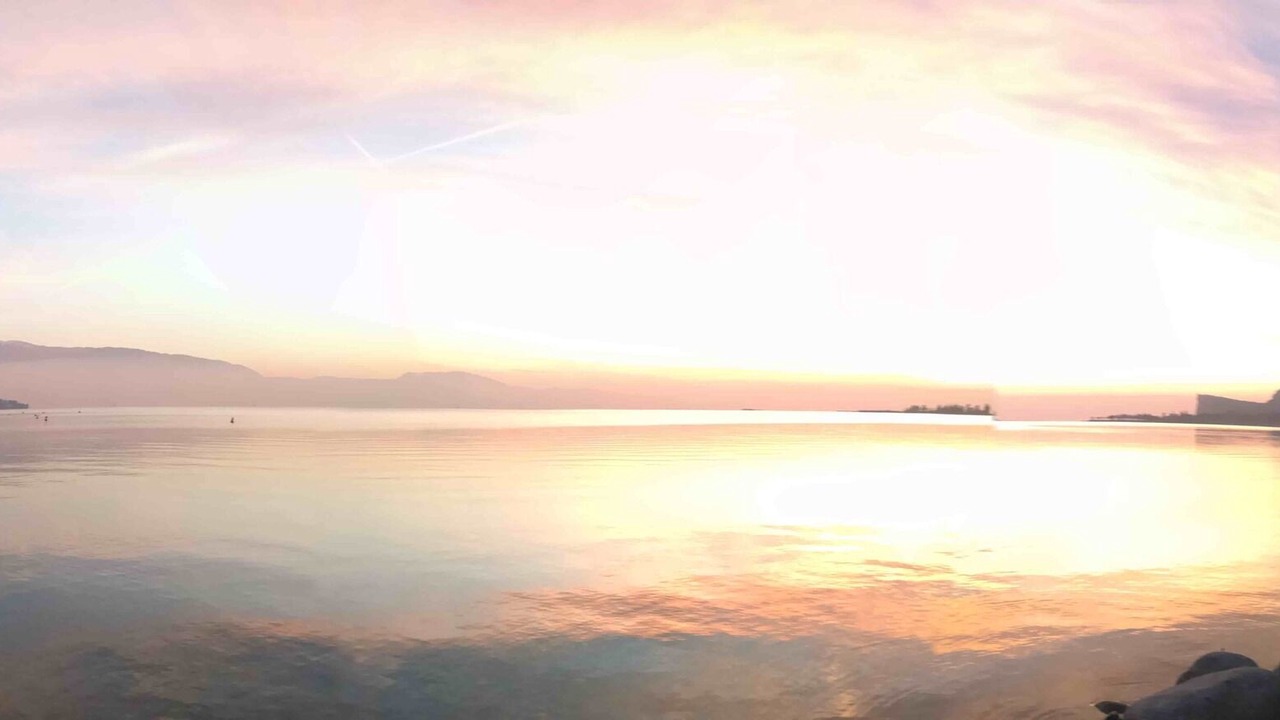 Photo of Others in Portese