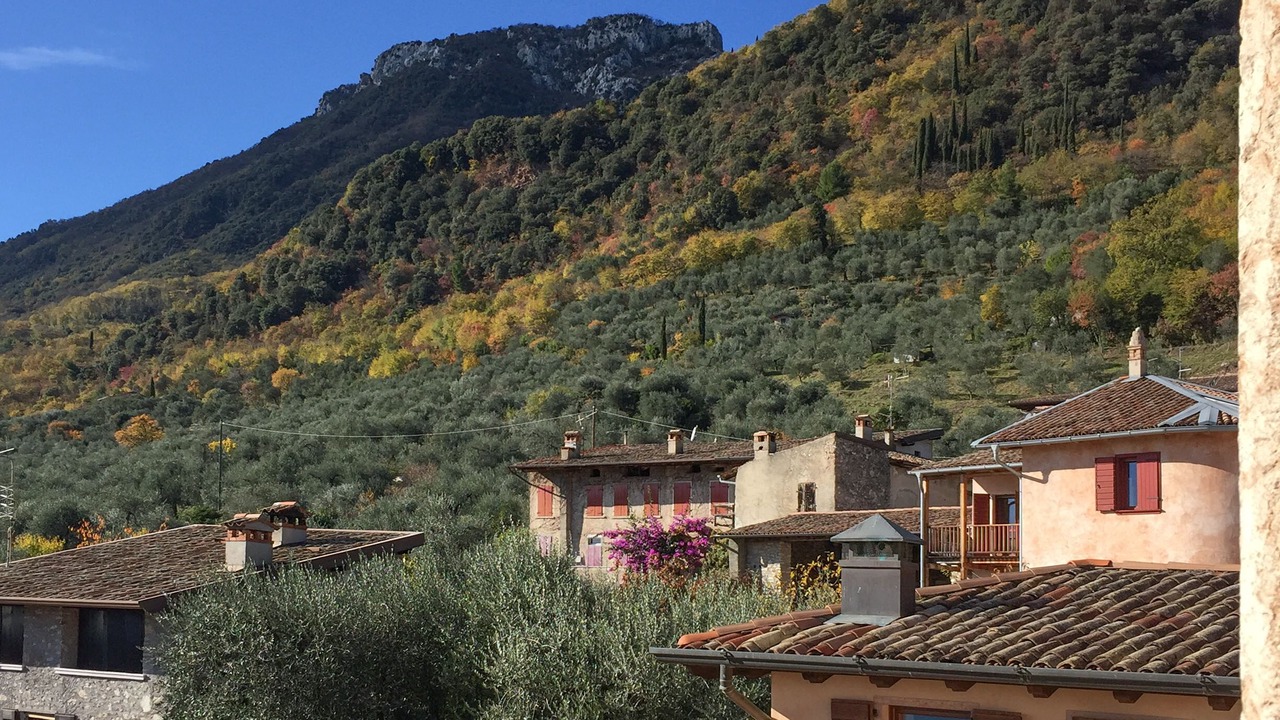 Photo of Outdoor in Fornico