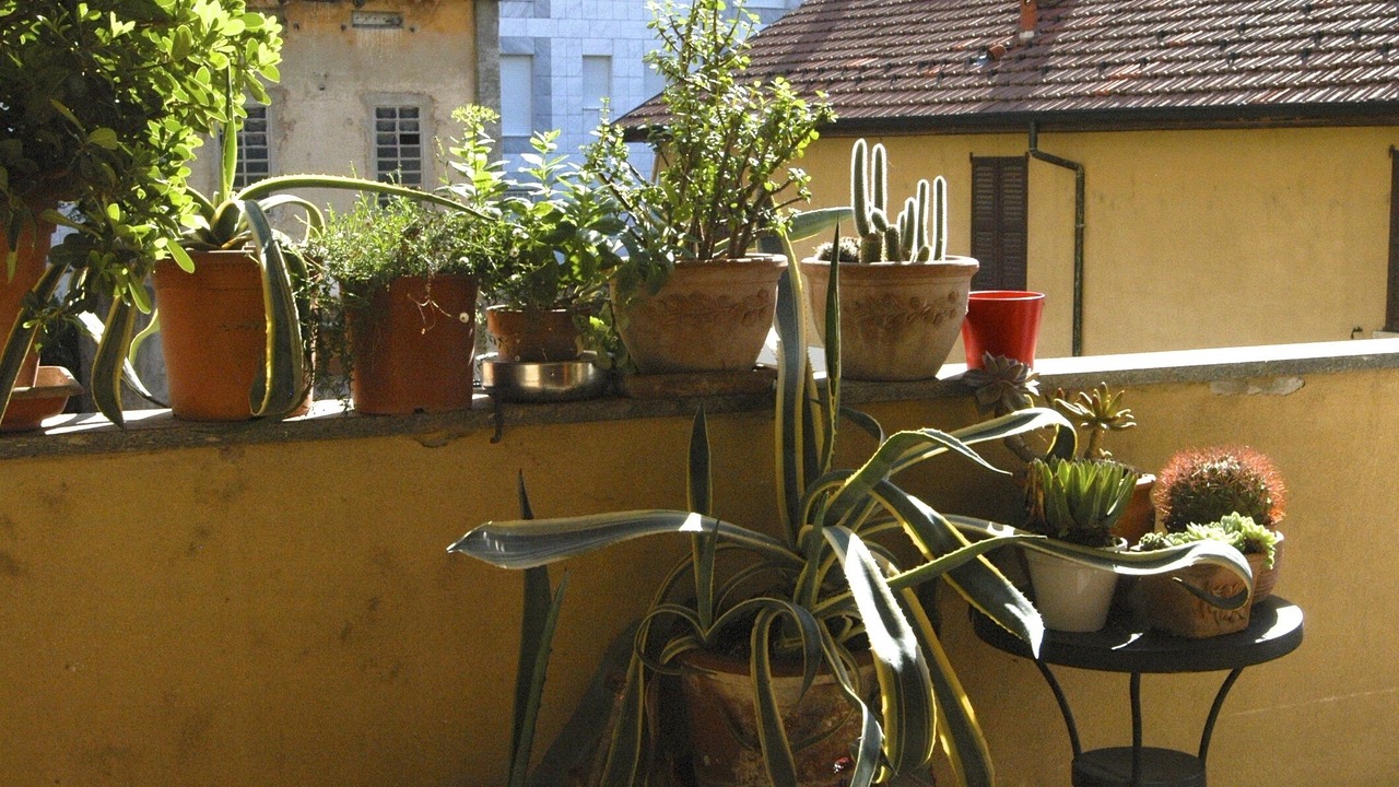 Photo of Outdoor in Legnano