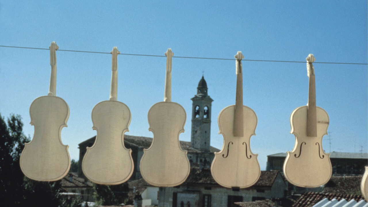 Photo of Outdoor in Cremona
