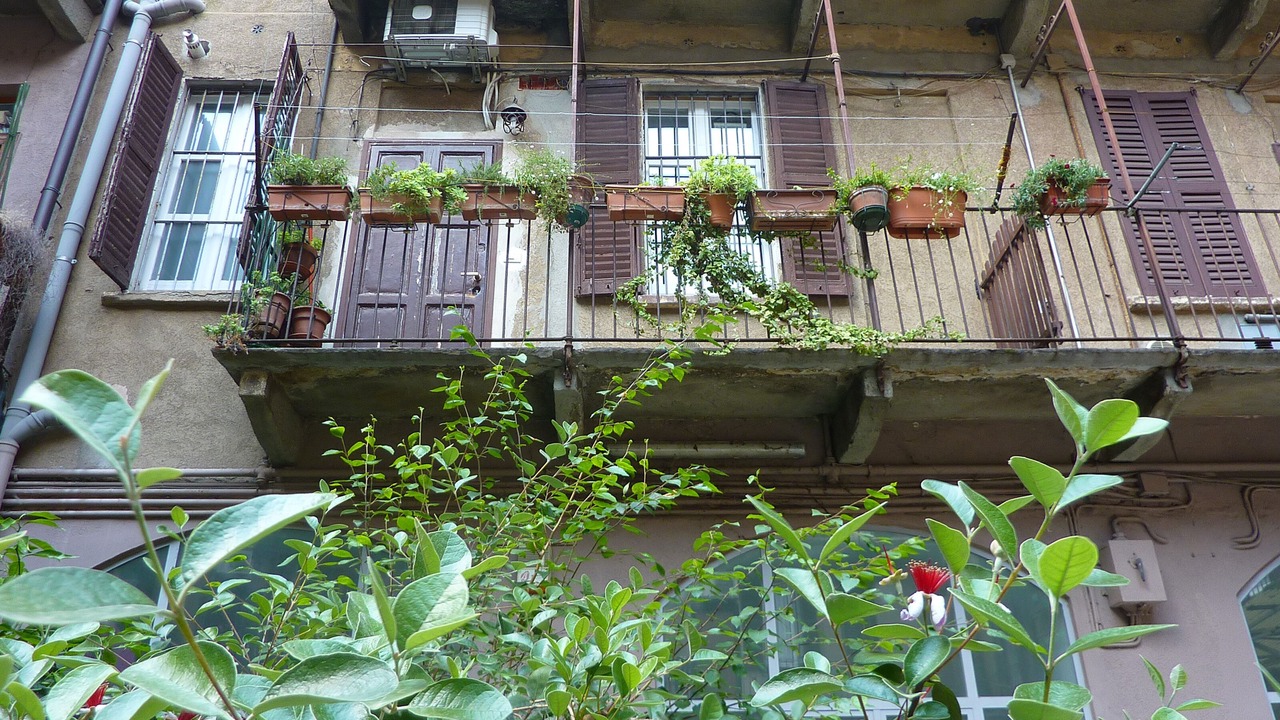 Photo of Outdoor in Porta Venezia