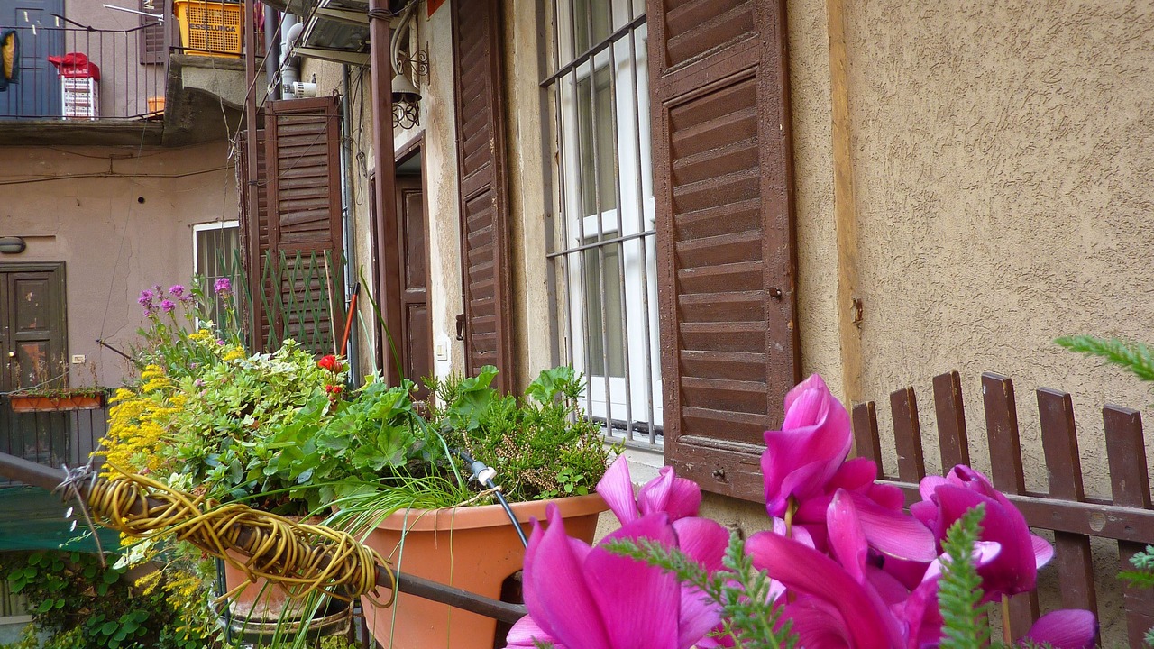 Photo of Outdoor in Porta Venezia